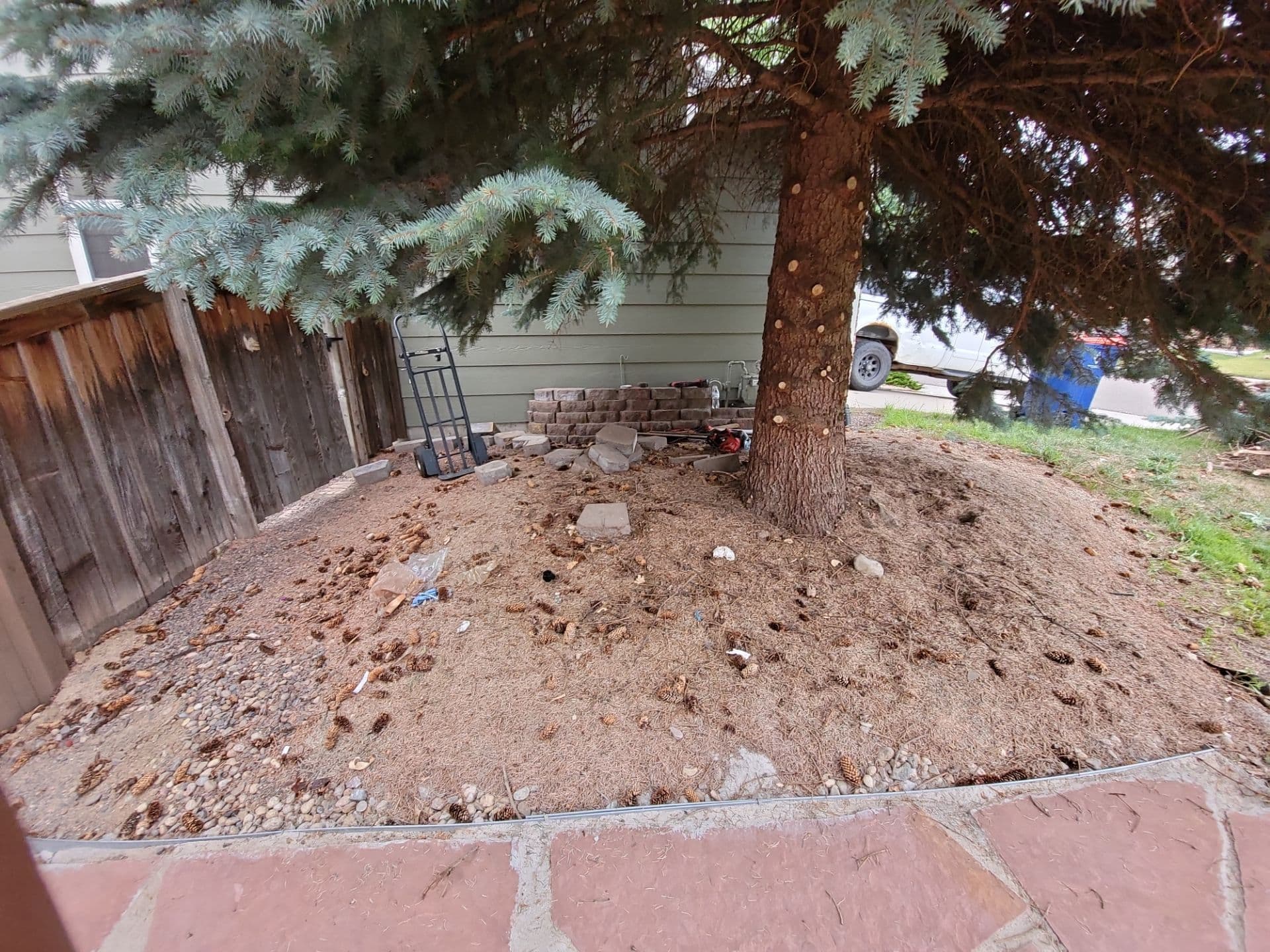 Transformative Front Yard Landscaping