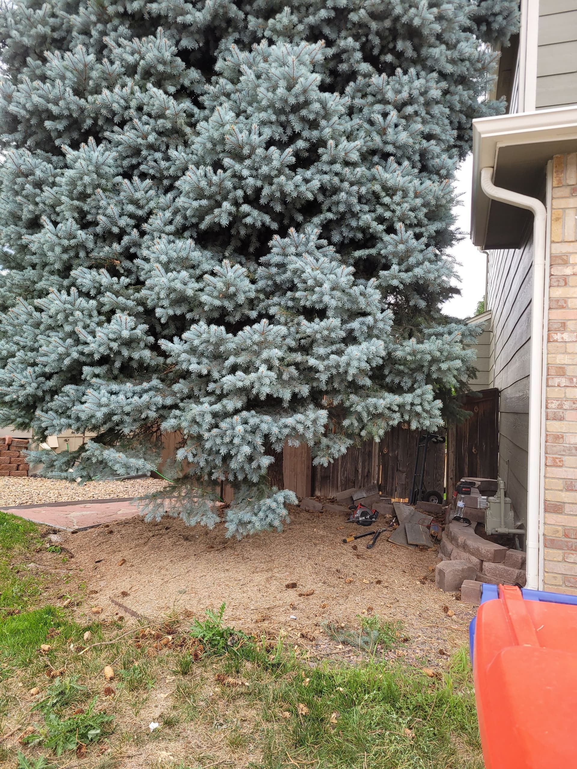 Transformative Front Yard Landscaping