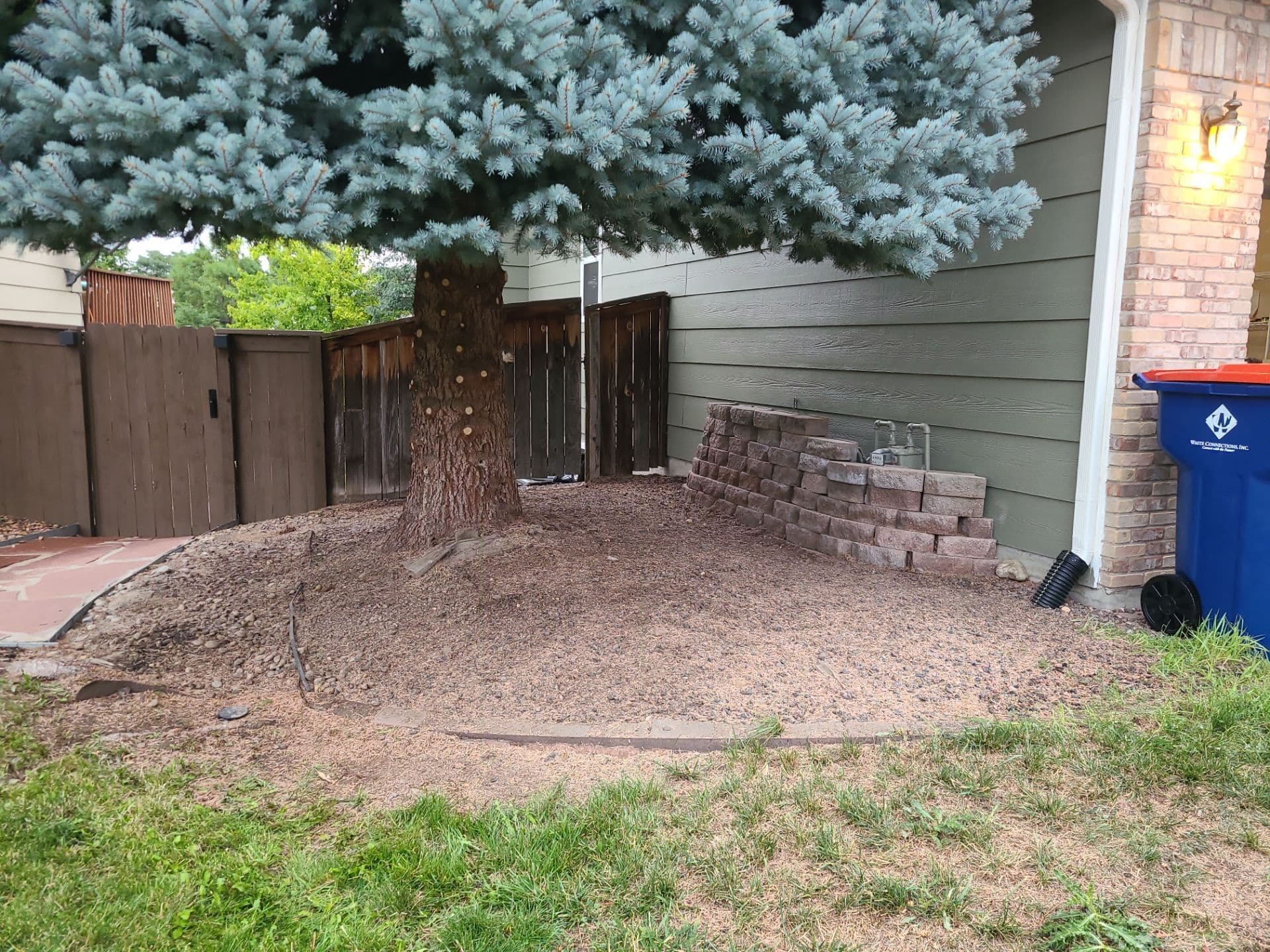 Transformative Front Yard Landscaping