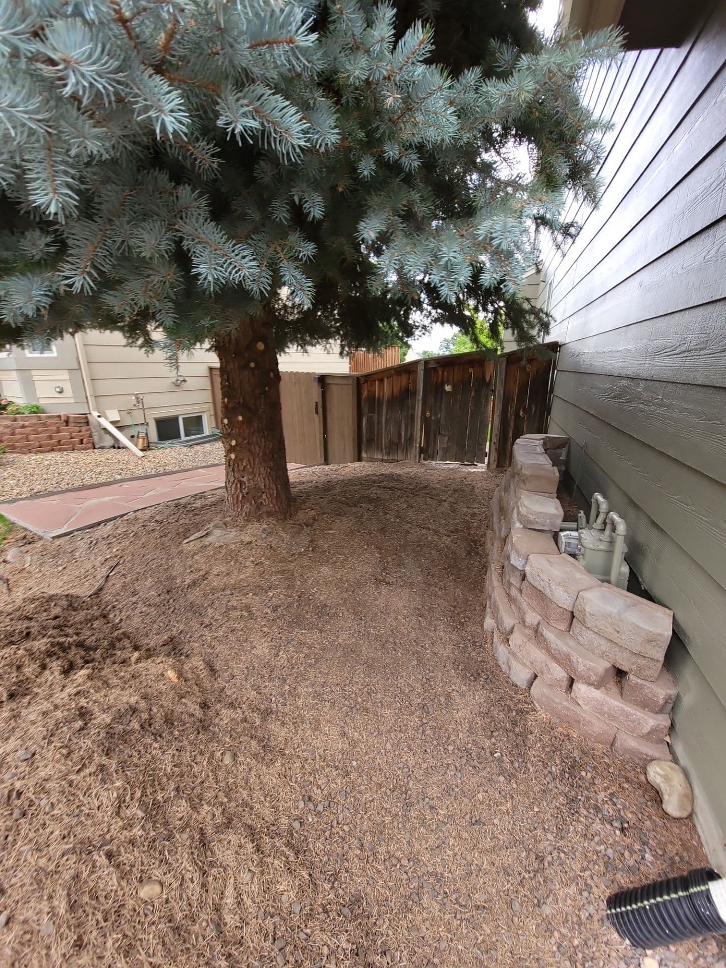 Transformative Front Yard Landscaping