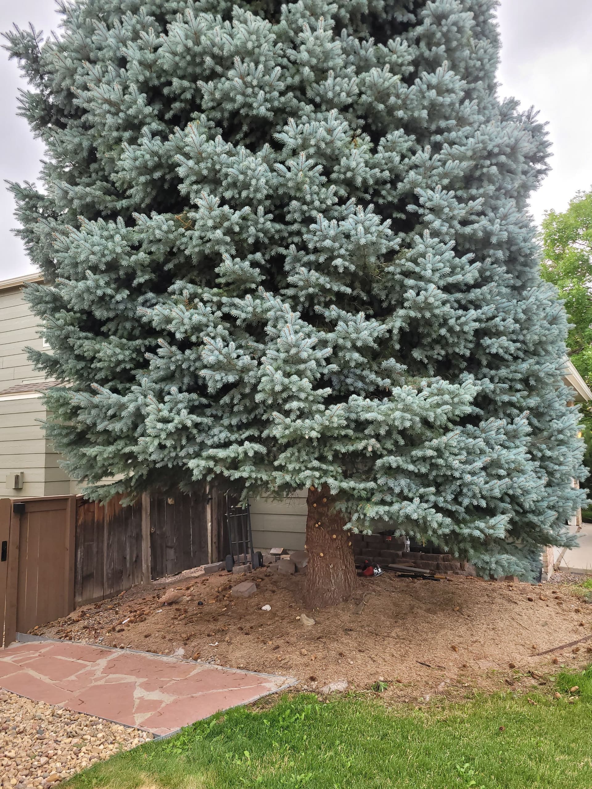 Gallery photos for Transformative Front Yard Landscaping: Image #6