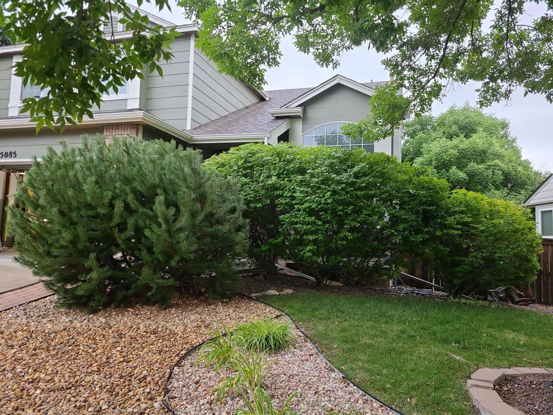 Gallery photos for Transformative Front Yard Landscaping: Image #11