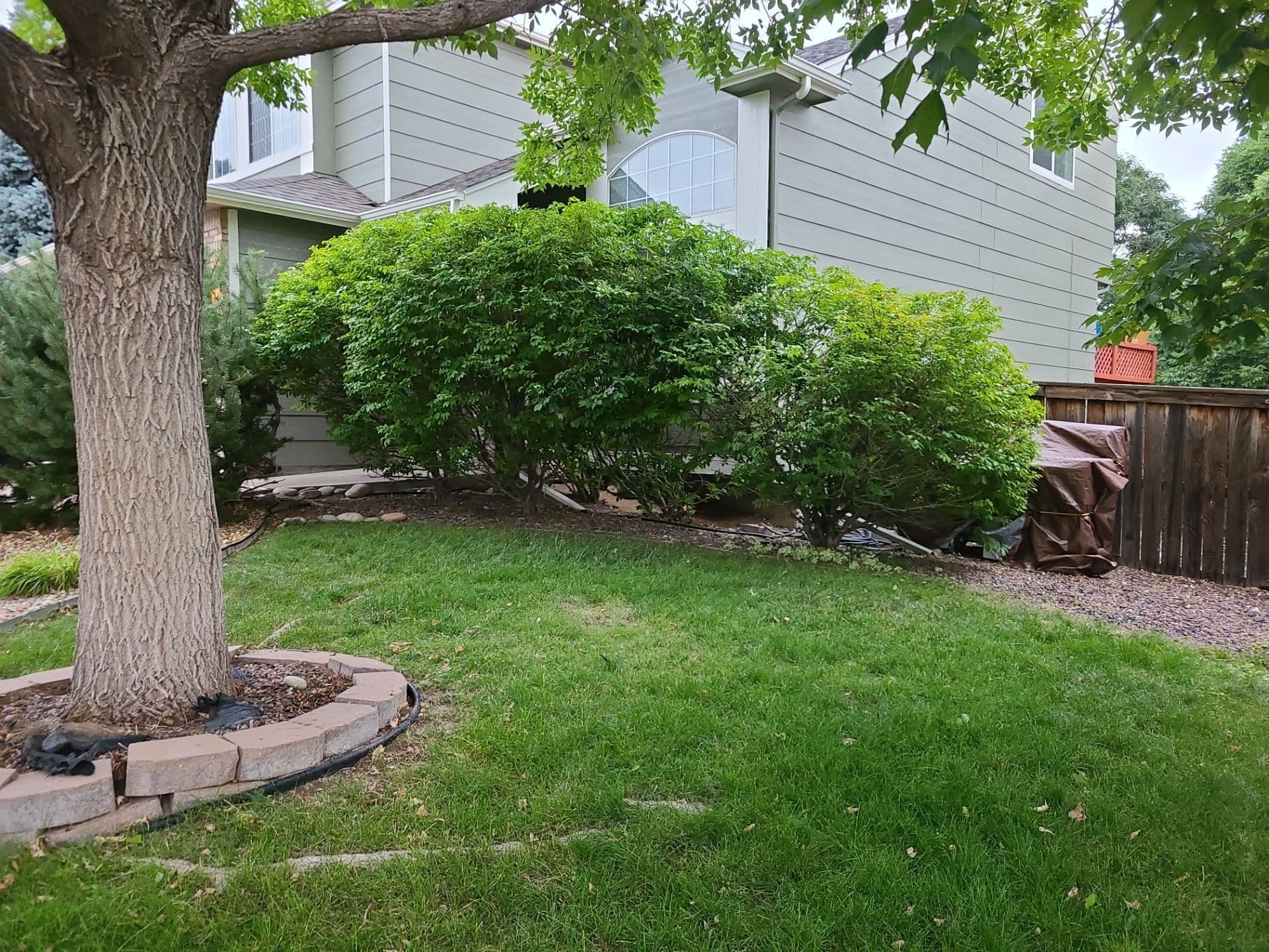 Gallery photos for Transformative Front Yard Landscaping: Image #10