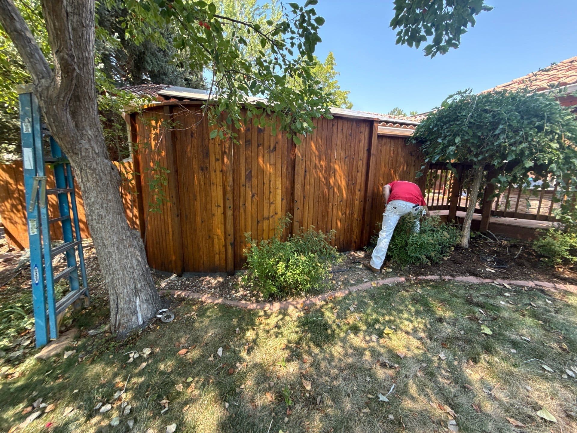 Gallery photos for Elegant Deck and Fence Transformation: Image #6