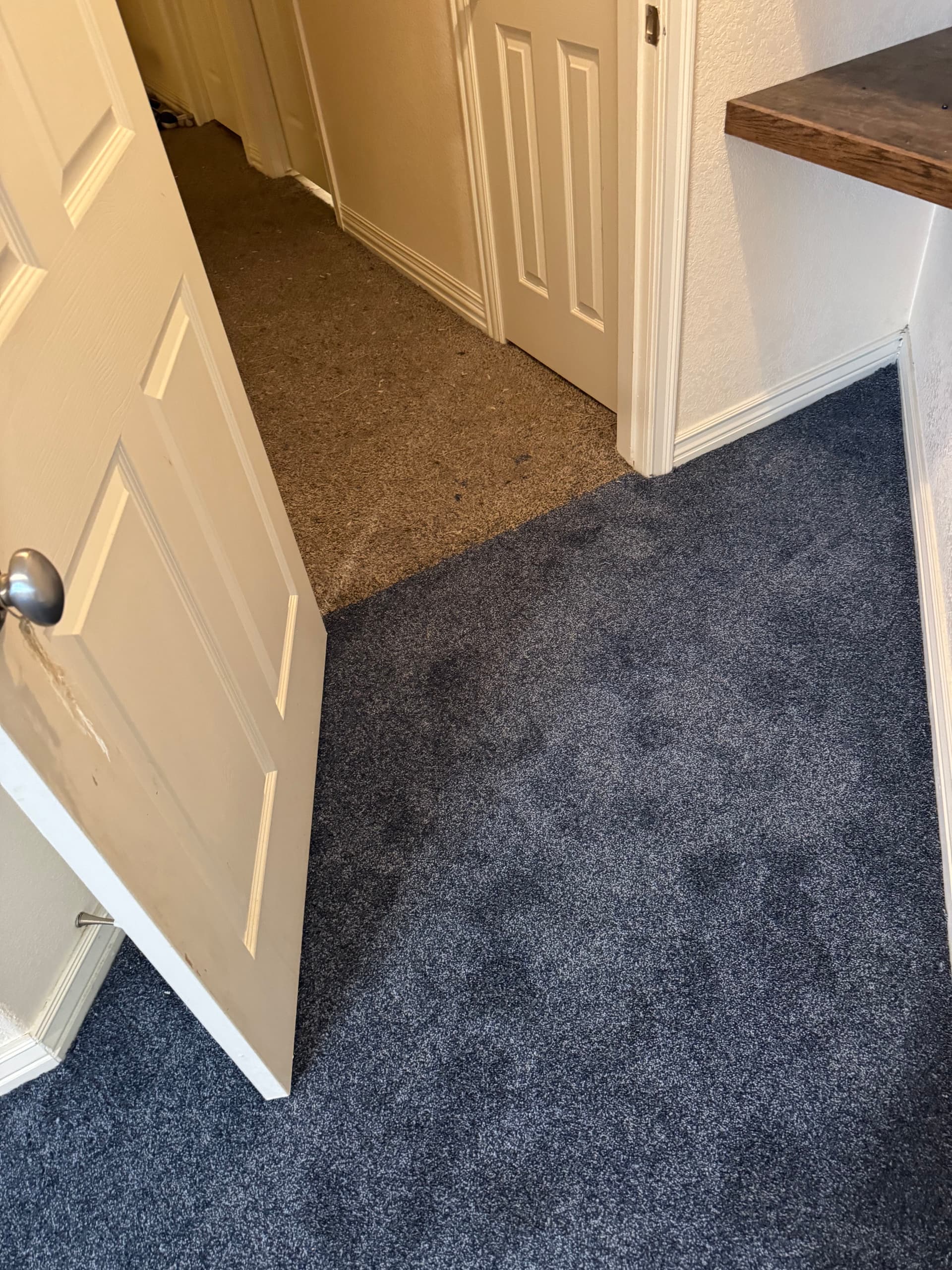 Gallery photos for Fresh Berber Carpet Install That Changes How a Room Feels: Image #4