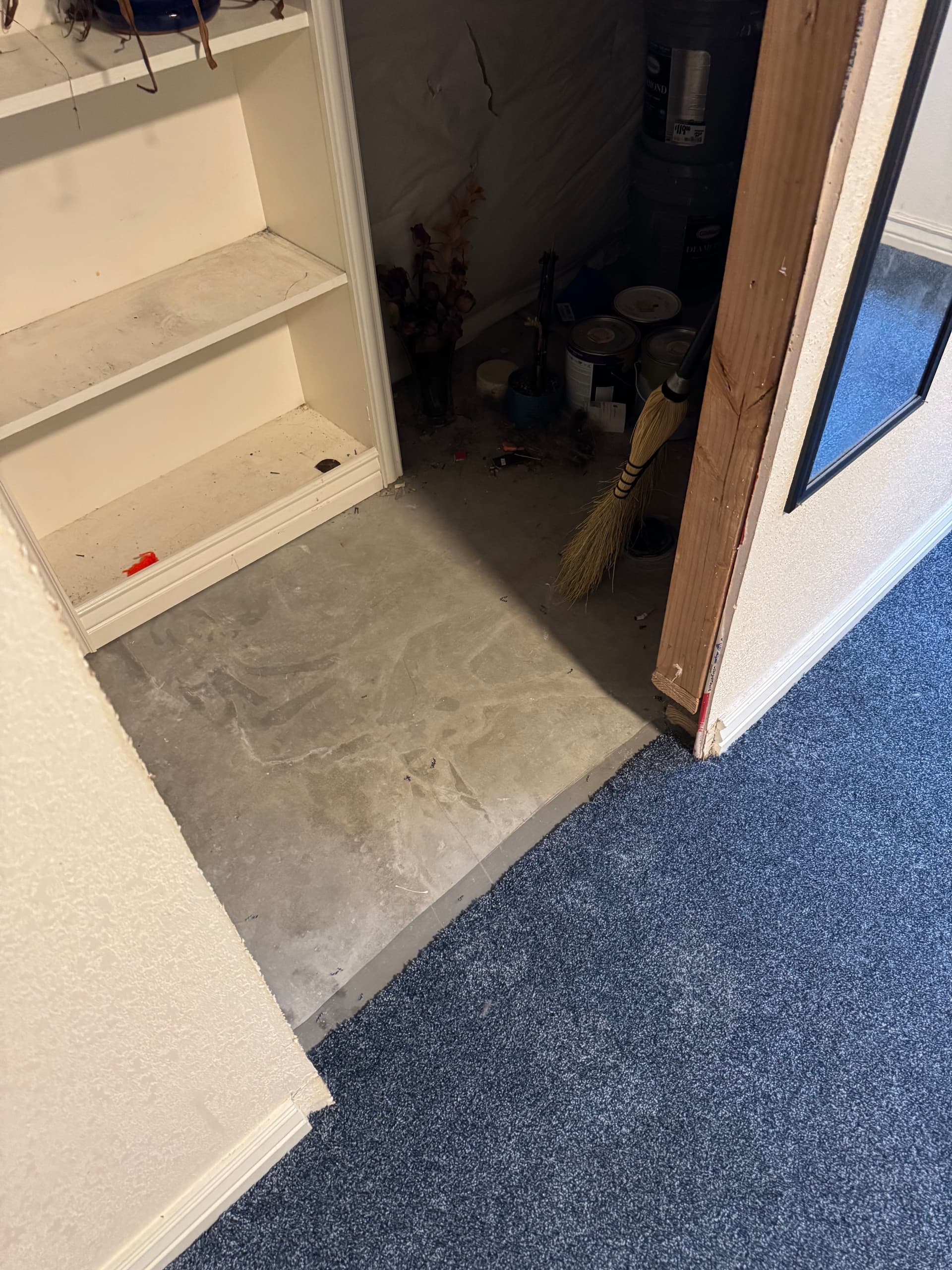 Gallery photos for Fresh Berber Carpet Install That Changes How a Room Feels: Image #3