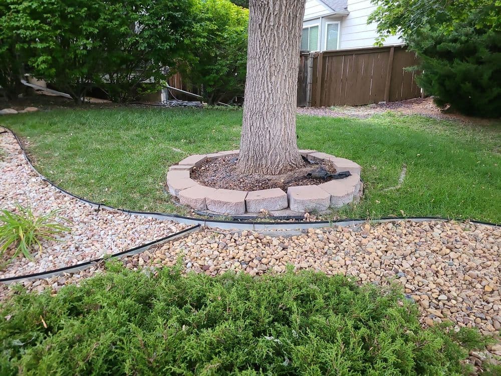 Tree surrounded by stone edging in a landscaped yard with grassy and rocky areas.